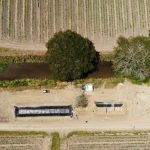 ASORUT 17-08-2024 125