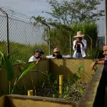 Canal Sur 25-10-2024 62