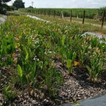 WhatsApp Image 2025-08-06 at 3.04.33 PM