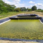 WhatsApp Image 2025-08-06 at 3.04.43 PM