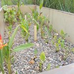 WhatsApp Image 2025-08-06 at 5.57.17 PM