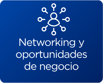 icono networking